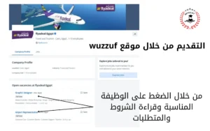 وظائف طيران أديل