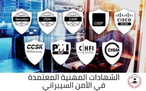 الأمن السيبراني