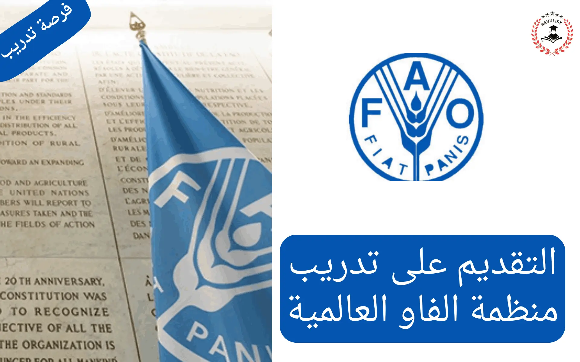 التقديم على تدريب منظمة الفاو